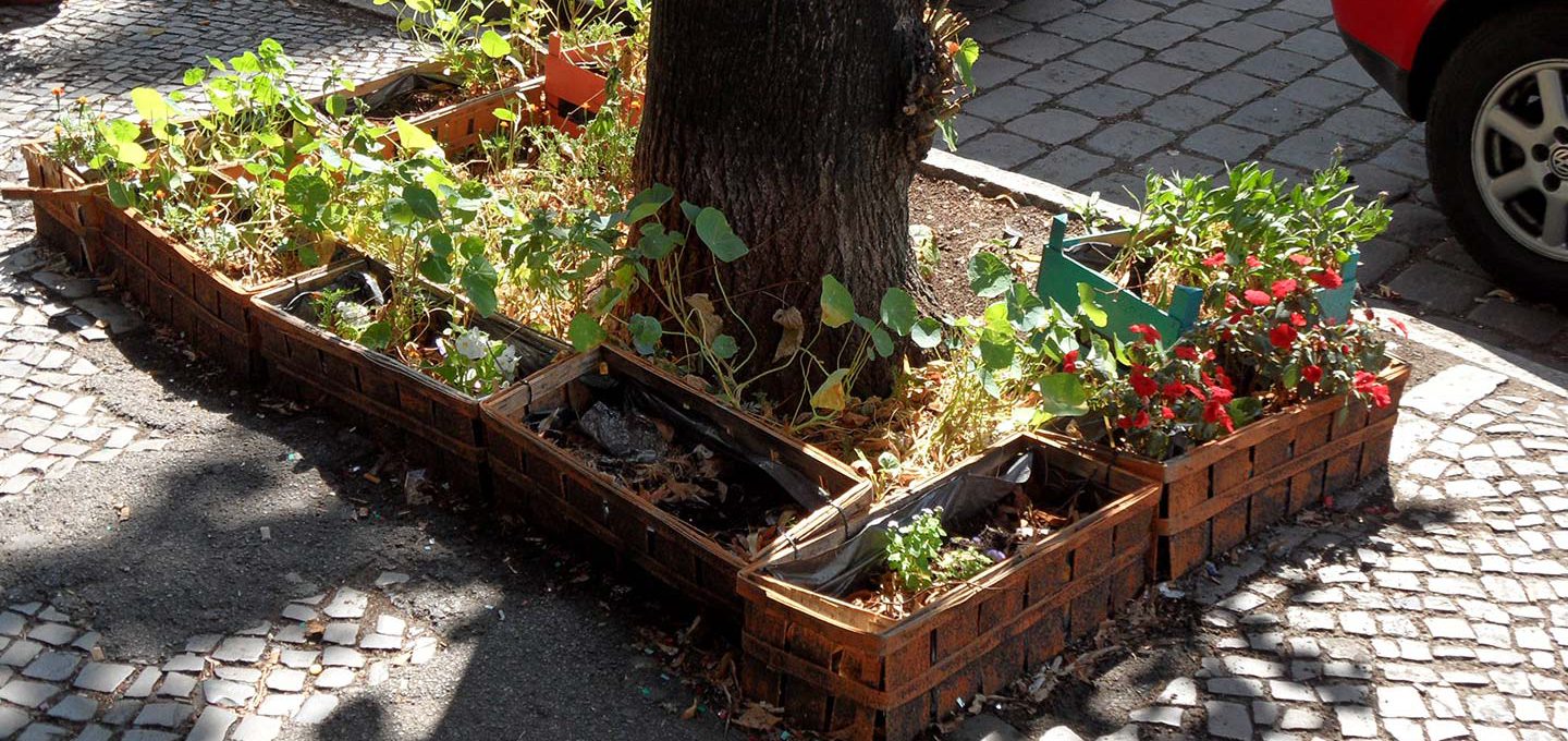Urban Gardening / Grüne Stadt