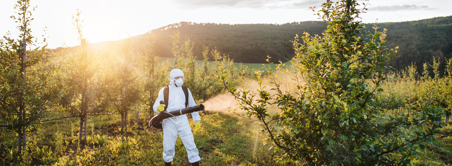 Landwirtschaft: mensch sprüht Pestizide