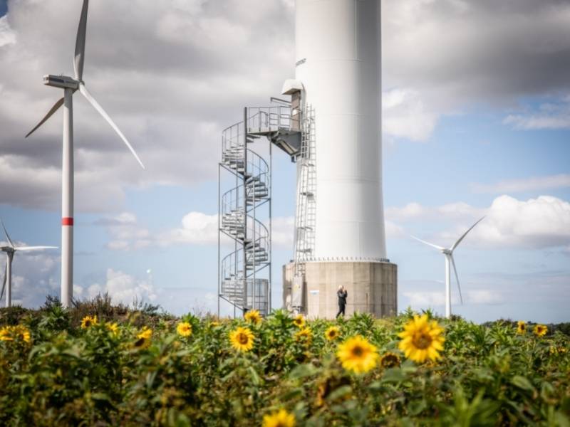 Windräder auf einem Sonnenblumenfeld_Das Erneuerbare Energien Gesetz: Wieso, weshalb, warum