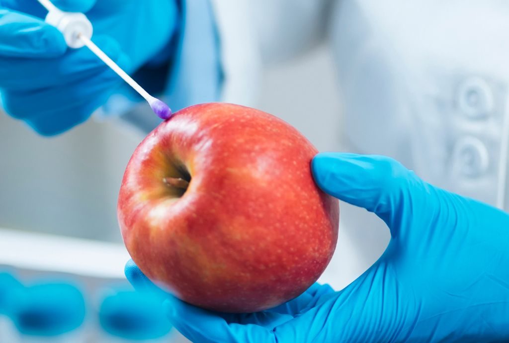 Ein Apfel wird in einem Labor auf Schadstoffe geprüft.