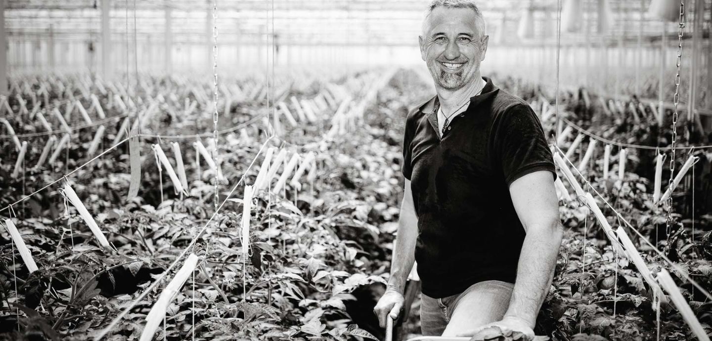 Sinnmacher-Foto zu Biobauer Engelhardt umgeben von seinen Pflanzen im Gewächshaus