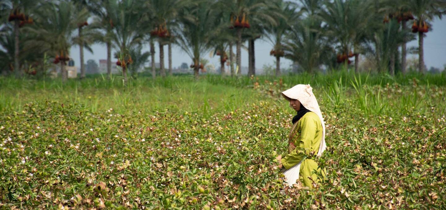 Das Bild zeigt eine Frau inmitten eines Feldes mit Teepflanzen. Sie trägt hellgrüne Arbeitskleidung, eine weiße Kopfbedeckung und einen Stoffbeutel vor dem Körper.