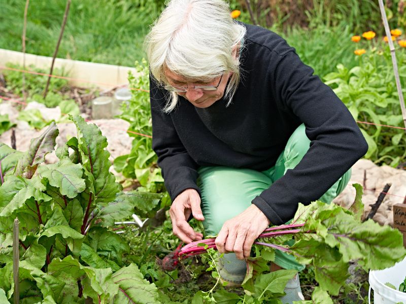 Das Bild zeigt eine Frau im Garten bei der Arbeit.