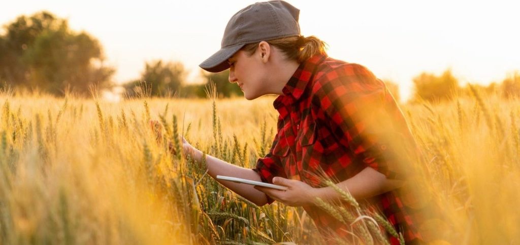 Eine Frau steht in einem Getreidefeld und schaut sich die Ähren an. In ihrer Hand hält sie ein Smartphone