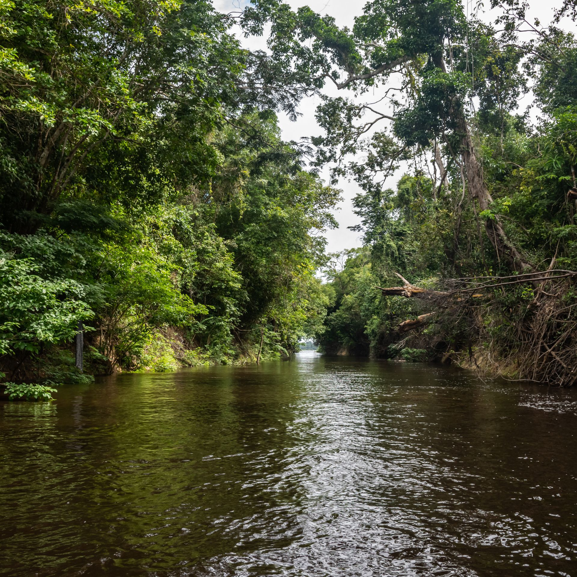 Klimagipfel gerettet, das Klima noch immer nicht