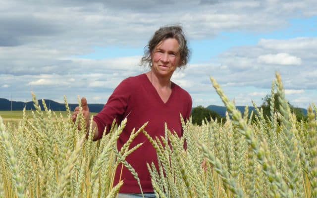 Catherine Cuendet, Dinkelzüchterin beim gzpk, steht in einem Feld.